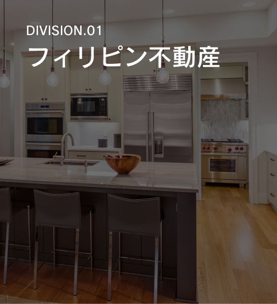 DIVISION.01　フィリピン不動産